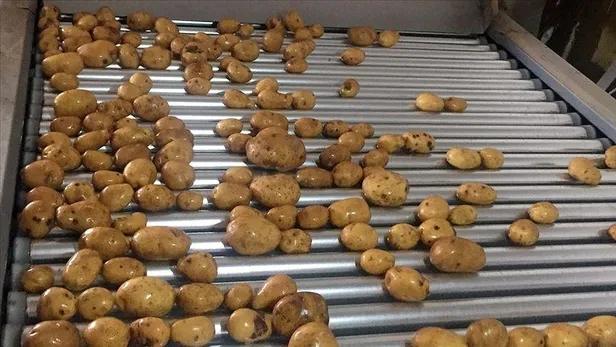 SON DAKİKA: Bakan Pakdemirli açıkladı: İhtiyaç sahibi ailelere bedelsiz dağıtılacak-5