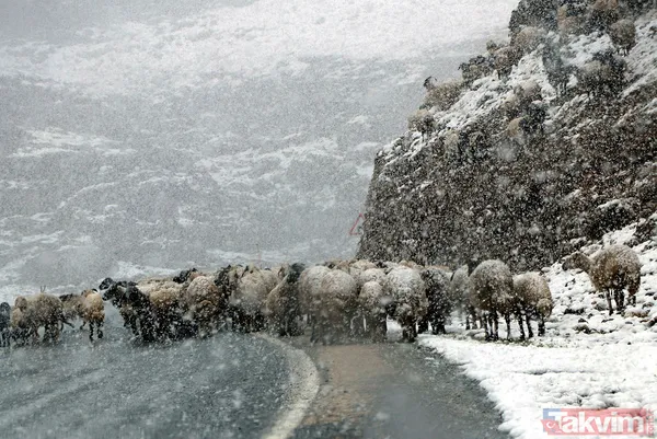 Mayıs ayının ortasında Van Bahçesaray'a 20 santimetre kalınlığında kar yağdı! Yazlık lastiği olanlar yolda kaldı besiciler zor anlar yaşadı - 15