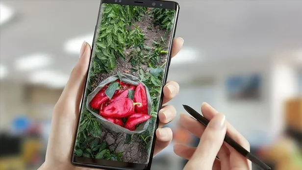 Başkan Erdoğan'dan gıda güvenliği için üç talimat-8