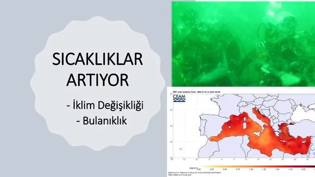 deniz-salyasi-gercekleri-temel-atmama-degil-yuzlerce-temel-atma-ister-1623450703346.jpeg 'Deniz salyası' gerçekleri: 'Temel atmama' değil yüzlerce 'temel atma' ister!-8