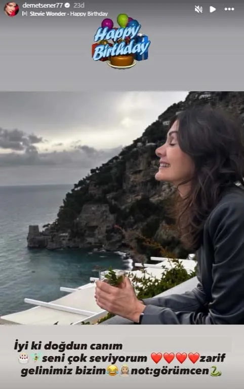 Demet Şener'den ağabeyinin eşine eğlenceli kutlama - 4