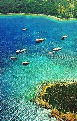 Sedir Adası’na akın