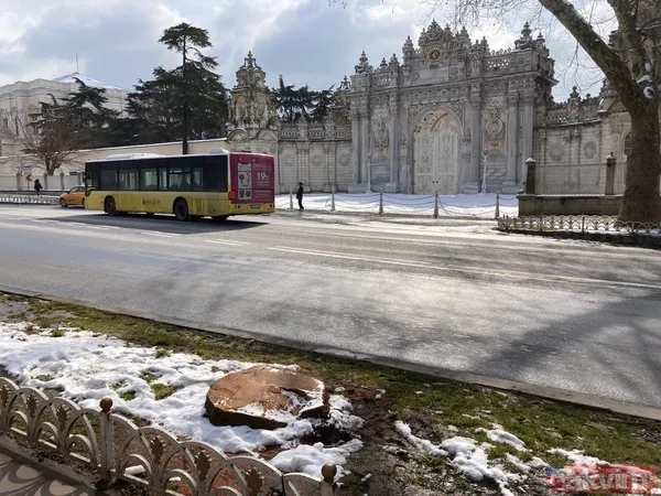 İBB'nin Çırağan'daki ağaç katliamının raporu açıklandı! Bilimsel çalışma yapılmadığı ortaya çıktı - 27