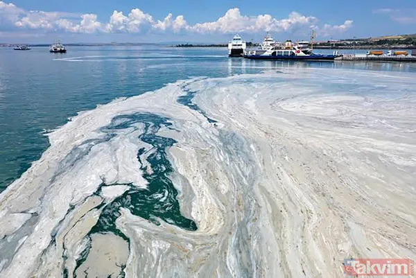 SON DAKİKA: Marmara Denizi için büyük tehlike! Deniz hala soğumadı müsilaj tehlikesi devam ediyor - 8