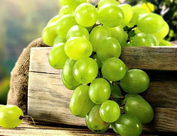 Üzümle sorunları çözün!