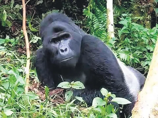 Köln Barışspor’daki arkadaşları Prof. Dr. Uğur Şahin’i anlattı (Koronavirüs haberleri)-9