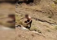 1 terörist teslim oldu