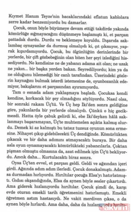 Abdullah Şevki'den sonra bir pedofili skandalı da FETÖ gelini Elif Şafak'tan! - 4