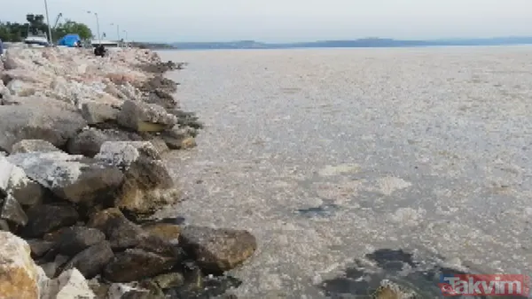 SON DAKİKA: Marmara Denizi'ni kaplayan deniz salyası (müsilaj) nedeniyle ölçüm cihazı bile su altına inemedi - 5