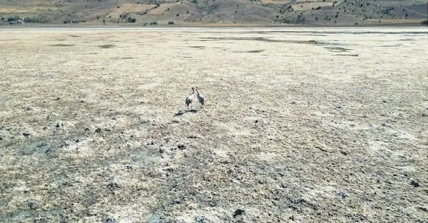 Sivas’taki Bingöl Gölü tamamen kurudu: Son turna da gitti