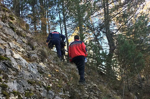 Ormanlık alanda ceset parçaları bulundu