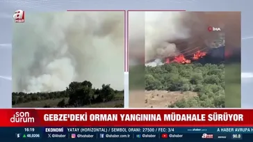 Kocaeli Gebze'de ormanlık alanda yangın!