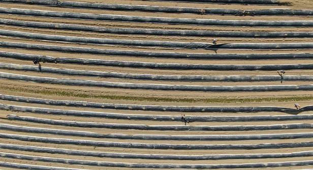 Belçika'da koronavirüsten ölen yaşlı bir kadının elleri tüyler ürpertti!-3