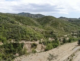 Antalya'da küllerinden yeniden doğan orman dron ile görüntülendi! Tam 1 milyon 747 bin 600 adet fidan dikildi