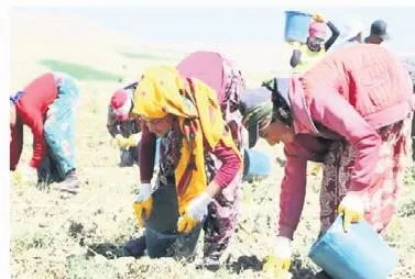 Parfüm kokan çocuklar