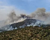 Aydın Bozdoğan’da korkutan yangın