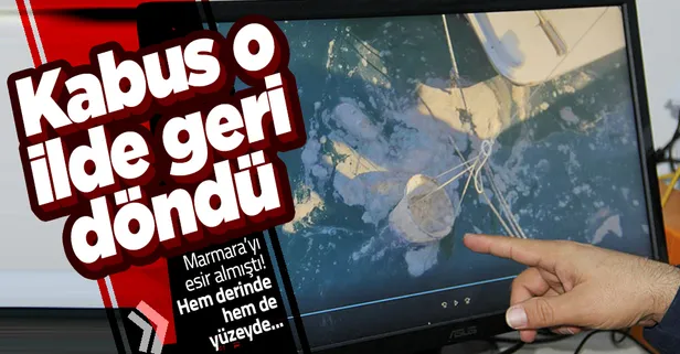 Marmara'yı esir alan müsilaj kabusu bu kez Mersin'de görüldü! Hem yüzeyde hem de derinde ortaya çıktı