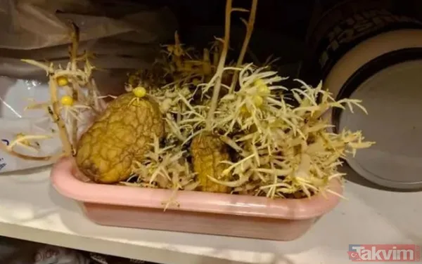 'Bu kadar da olmaz' dedirten iğrenç görüntüler! Mide bulandıran görüntüler - 1