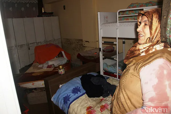 Muğla Bodrum'da hep aynı manzara! Evleri su bastı, sokak hayvanları boğuldu - 12