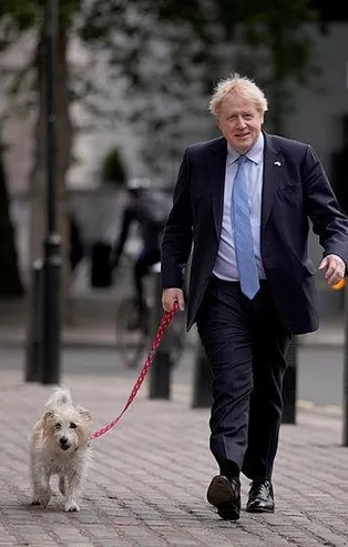 İngiltere sandık başında! Yerel seçimlerde oy verme işlemi başladı