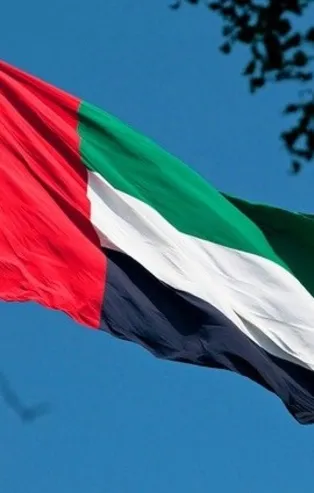 BAE siber silahlarla telefonları hacklemiş