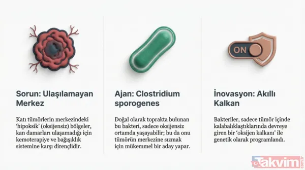 Kansere karşı mikro savaş: Bilim insanları tümörleri içten yiyen bakteri geliştirdi - 3