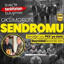 ABD’den ’PKK’ya statü kazandırıp meşru kılma’ planı! Sözde seçim müsameresinde baş aktör McGurk | İsveç’te ’teröristan’ buluşması