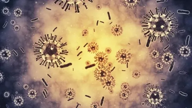 Maymun çiçeği virüsü belirtileri nelerdir? Maymun çiçeği virüsü öldürücü mü? Maymun çiçeği hastalığının tedavisi var mı?-2