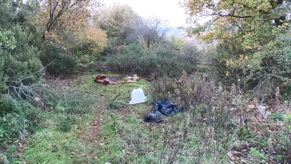 istanbulda-dehset-goruntu-yemek-yerken-tekrar-dusunun-sariyerde-yol-kenarinda-kesilmis-at-parcalari-bulundu-1637658831816.jpg İstanbul'da dehşet görüntü! Yemek yerken tekrar düşünün: Sarıyer'de yol kenarında kesilmiş at parçaları bulundu-7