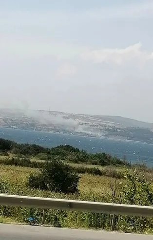 Çanakkale'de orman yangını!