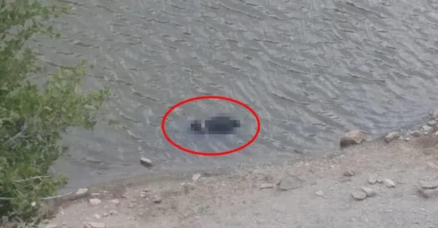 Denizli'de gölde bir erkek cesedi bulundu