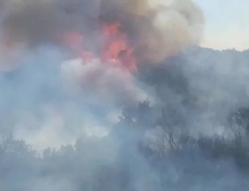 Gölcük’te yangın! 20 dönüm ormanlık alan zarar gördü