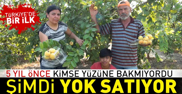 Türkiye'nin ilk guava üreticisi