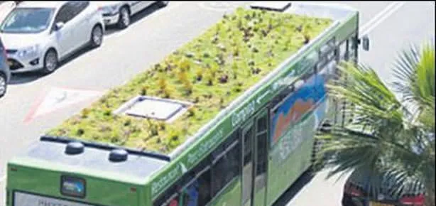 Otobüs çiçek açtı