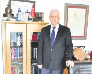 ABD yaralı aslan