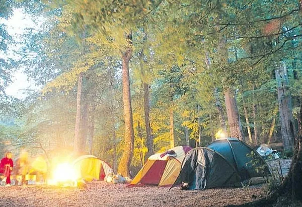 bolu-valiligi-duyurdu-o-tarihe-kadar-ormanlara-girisler-yasaklandi-1689168066290.jpeg Bolu Valiliği duyurdu! O tarihe kadar ormanlara girişler yasaklandı!-2