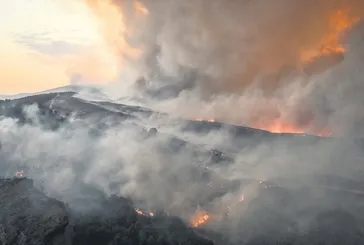 Şehitlerimizi korumak amacıyla topyekün savaş