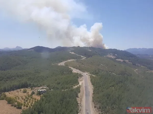 Adana Kozan'da geçtiğimiz yıl yanan 280 futbol sahası büyüklüğündeki alan 5 ay sonra yemyeşil - 7