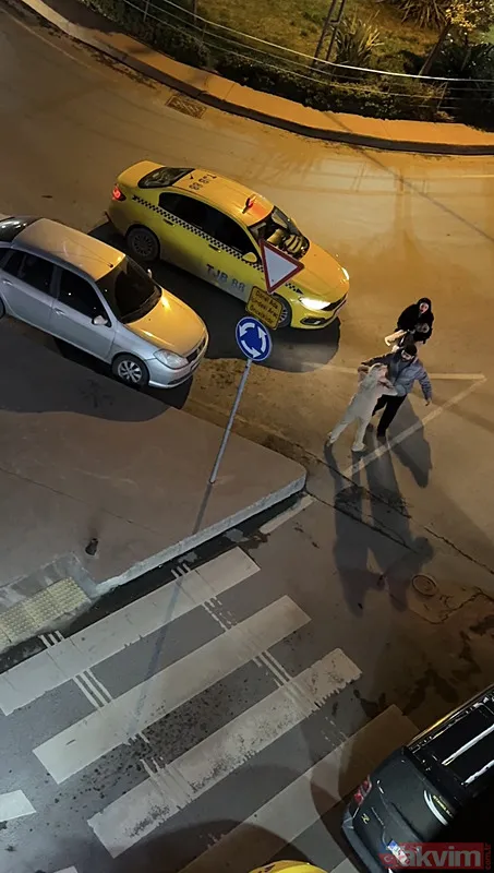 Şişli’de kendini yerden yere atan kadın direği yumrukladı: 11 yıl seni bekleyemem - 4