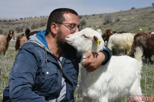 Müteahhitliği bıraktı! Keçi çiftliği kurdu! Süt siparişlerine yetişemiyor - 10