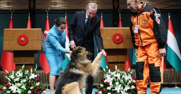 Başkan Erdoğan’ın Macaristan arama kurtarma köpeğini sevdiği anlar renkli görüntüler oluşturdu!
