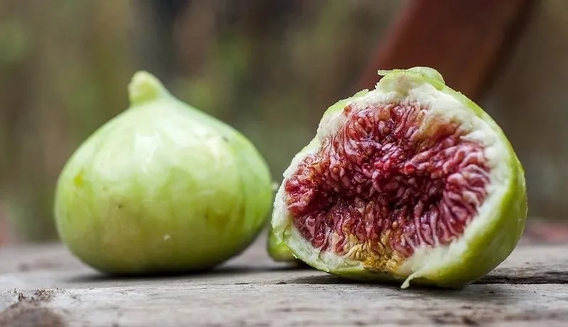 Yerken bir kez daha düşüneceksiniz: İncirin binlerce yıl saklanan gerçek yüzü! Meğerse meyve değilmiş-7