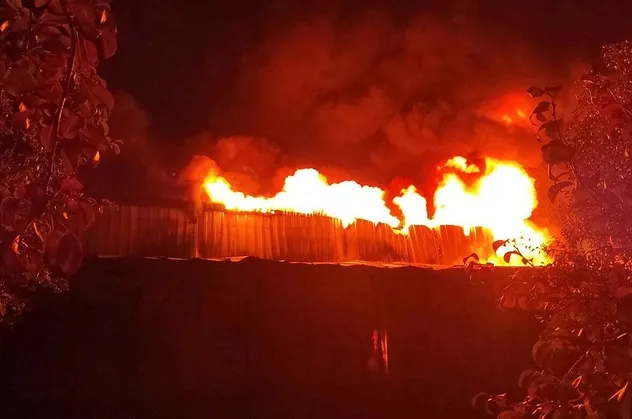 Bursa'nın Gürsu ilçesinde bir soğuk hava deposunda çıkan yangın sonucu 4 işçi ve 1 itfaiye eri hastaneye kaldırıldı