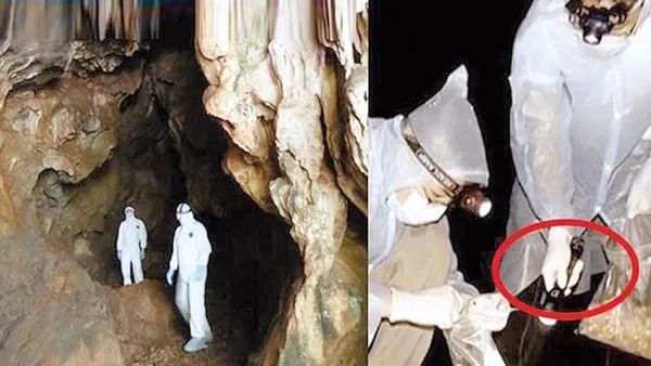 Çinli bilim insanlarından dünyayı şoke eden koronavirüs itirafı: Isırıldık!-4