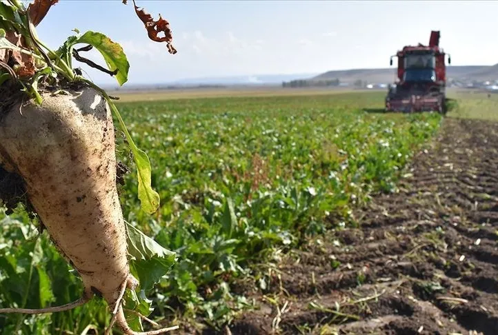 Türk tarım ürünleri 180 ülkeye ulaştı