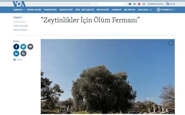 Sözcü, Birgün, Cumhuriyet, Gazete Duvar'ın "zeytinlikler" yalanına Enerji ve Tabii Kaynaklar Bakanlığı'ndan yanıt-4