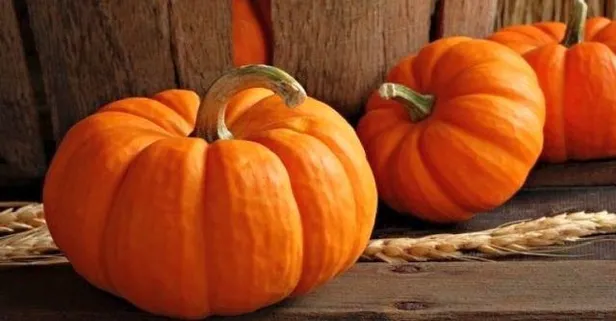 Bal kabağıyla gençleşin