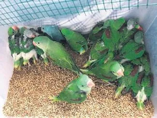 Mersin'de 5 katlı binanın çatısından sarkan bir kişi yürekleri ağza getirdi (Yaşam haberleri)-5