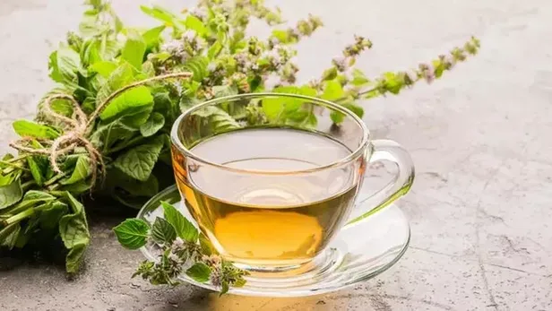 Şifa dolu melisa çayı: İşte binbir çeşit faydaları...-1