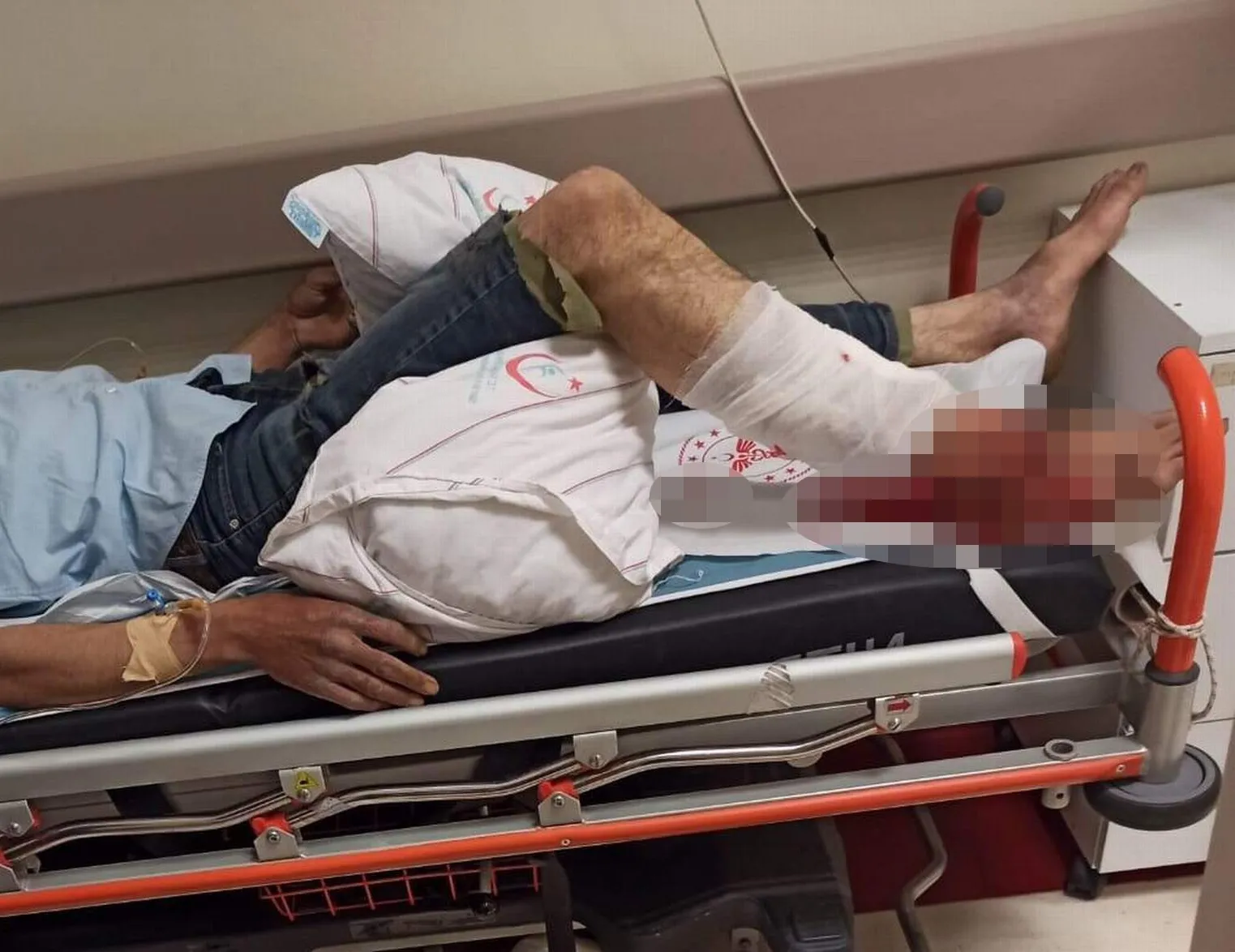 Ayının saldırısına uğrayan çoban yaralandı